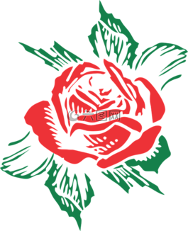 玫瑰,花,花的