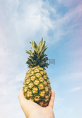 食品,水果,手