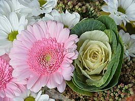 花,花花,提供