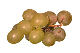 葡萄,孤立,黃色