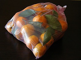 官吏,叶子,包