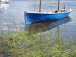 小船,海灘,草