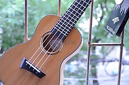 吉他,愛好,歌曲