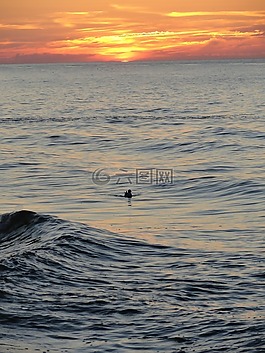 海,日落,鸭
