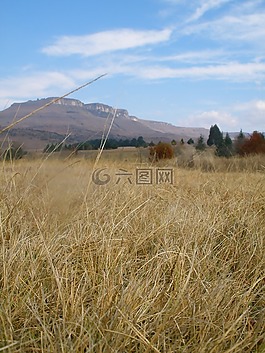 農(nóng)村,草原,山