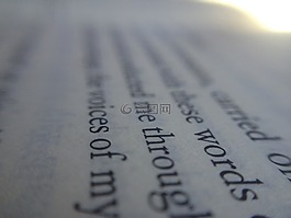 書,文本,讀