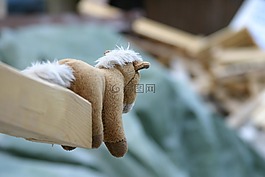 小馬,馬,欄桿