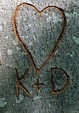雕刻,心臟,內(nèi)存