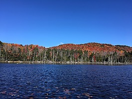 秋,湖,山