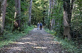 休閑,愛好,徒步旅行