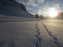 雪跟踪,寒冬,追踪