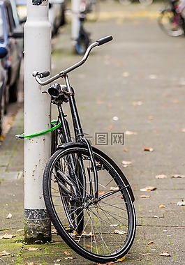 自行车,荷兰,旅行
