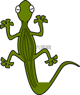 壁虎,蜥蜴,爬行動(dòng)物