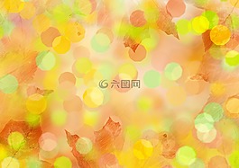 散景,秋季,顏色