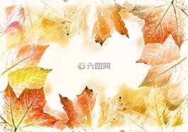 散景,秋季,顏色