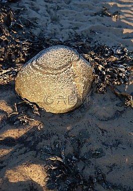 皮埃爾 ·,太陽(yáng),水