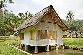 房子,村,建設(shè)