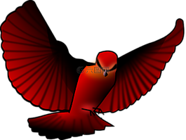 鳥,紅色,翅膀