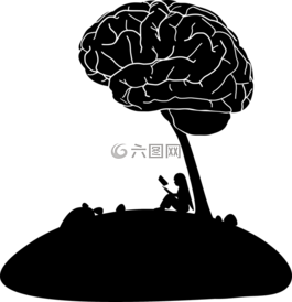 解剖,生物學(xué),腦