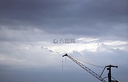 起重機(jī),行業(yè),端口