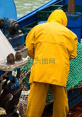 海,捕魚,水