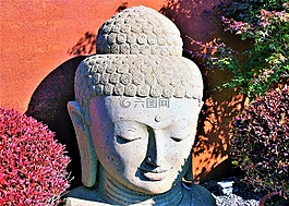 佛,禪宗,秋