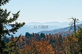 戶外,公園,景觀