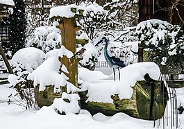 冬天,雪,寒冬