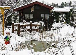 冬天,雪,寒冬