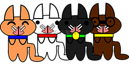 貓,貓咪,動(dòng)物