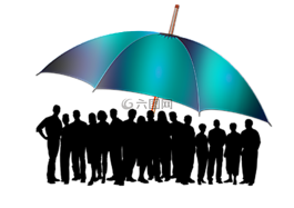 人,男子,女子