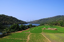 gangavali 河,潮汐膨脹,花生作物