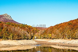 森林,樹,性質(zhì)