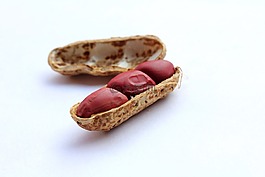 花生,封面,螺母