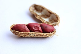 花生,封面,螺母