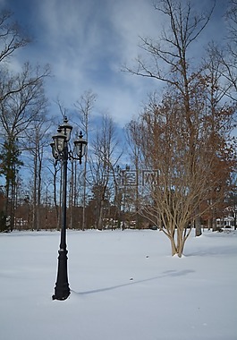 冬天,雪,景觀