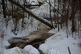 雪,河,凍結(jié)