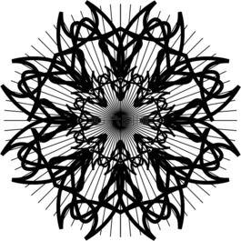 玫瑰,對(duì)稱性,飾品