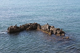 海,西班牙,假期