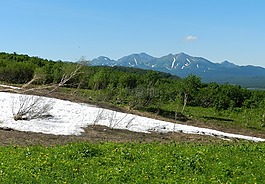 山,夏季,雪