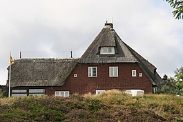 敘爾特島,里德,建設(shè)