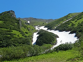山,夏季,雪