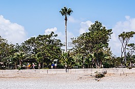 海灘,帕爾馬,性質(zhì)