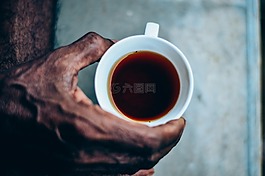 杯,印度,上午