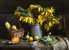 靜物,向日葵,花束