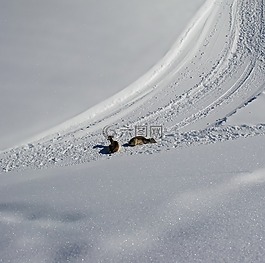 雪,路,路徑