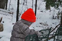 戶(hù)外,冬天,雪