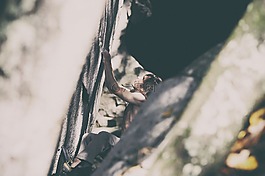 行動,成人,模糊