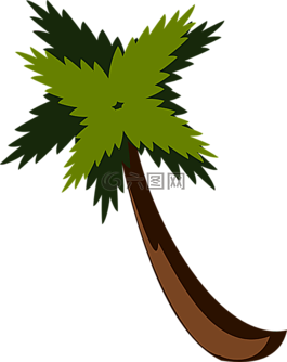 棕櫚樹(shù),海灘,叢林