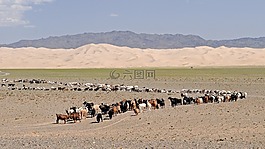 沙漠,戈壁,蒙古